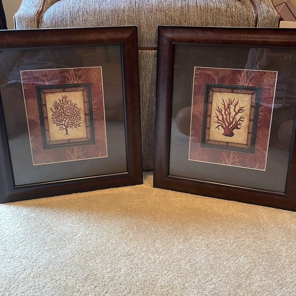 Set of Coral Prints